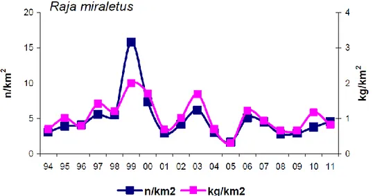 Figure  3.  Raja  miraletus  indices  of  density  (n/km2)  and  biomass  (kg/km2)  estimated  in  the  Tuscany  distribution area (MEDITS 1994-2011 series)