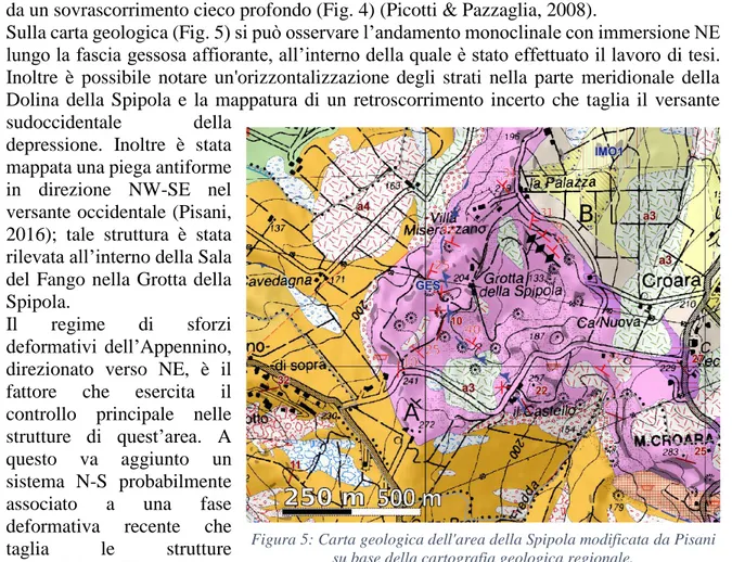 Figura 5: Carta geologica dell'area della Spipola modificata da Pisani  su base della cartografia geologica regionale.