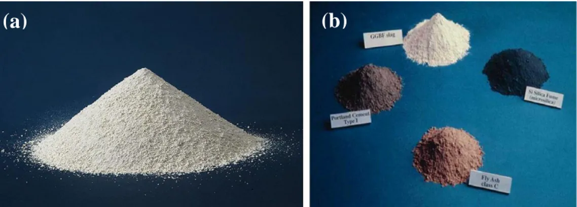 Figura  II.4:  (a)  polvere  di  metacaolino  come  si  presenta  dopo  la  calcinazione,  polveri  allumino-silicatiche;  (b)  dall’alto  in  senso  orario:  loppa  d’altoforno,  fumi  di  silice,  ceneri  volanti e cemento Portland 