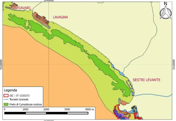 Figura 3-16 Praterie di Cymodocea nodosa nel litorale tra Lavagna e Sestri Levante   (Layer ricavato da Geoportale Nazionale: http://www.pcn.minambiente.it/GN/)  