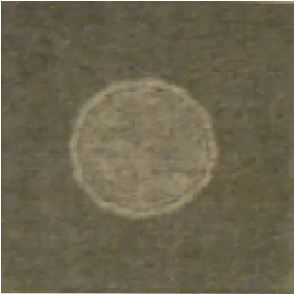 Figure 3.4: Risultato sperimentale. Immagine che si ottiene con lo stesso apparato del caso precedente della S-FFT.