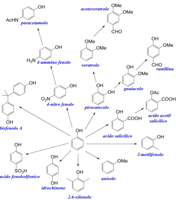 Figura 4: prodotti ed intermedi sintetizzabili da fenolo