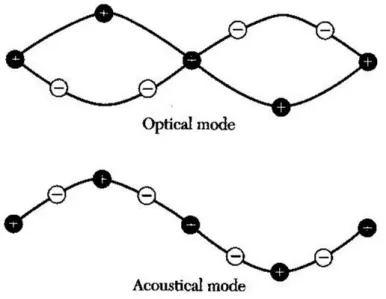 Figura 1.7: Modi normali acustici ed ottici a confronto [2]. Nella figura in alto è raffigu- raffigu-rato un modo ottico di oscillazione, in cui gli atomi colorati in nero oscillano in controfase rispetto agli atomi colorati in bianco