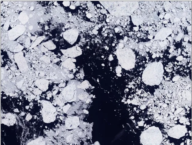 Figure 1.4: Arctic sea ice, captured on June 16, 2001, by NASA’s Landsat-7 satellite.