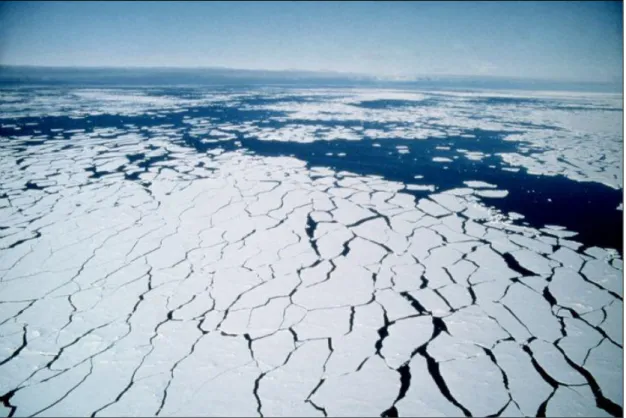 Figure 1.9: A picture of the Marginal Ice Zone, characterized by floes of big size (hundreds of metres to few kilometres)