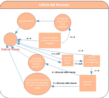 Figura 4.2: Statechart della cellula del muscolo [23]