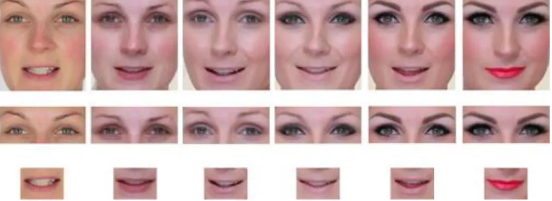 Figura  2.14:  campioni  di  immagini  di  riferimento  e  makeup  ritagliate  di  FCD