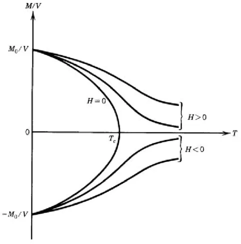 Figura 1.1: Magnetizzazione spontanea per unità di volume in funzione della temperatura.