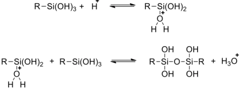Figura 1.3: Strutture delle catene di gel derivanti dalla condensazione in catalisi acida (sinistra) e basica  (destra) 