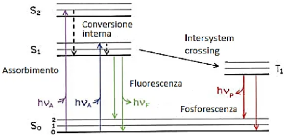 Figura 1.8: Diagramma di Jablonski, che illustra i livelli energetici e le transizioni possibili 