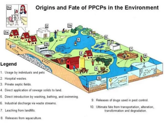 Fig.  1.3. Origini  e destino dei  farmaci  e prodotti  per la cura personale (PPCPs) in  ambiente  (www.epa.gov)