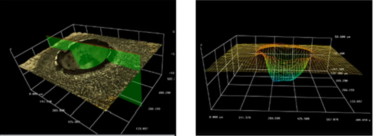 Figure 2.3: 3D model in colour view (left) and mesh view (right) generated by the optical microscope