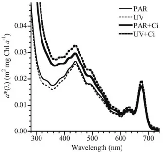 Figure 3.5. Absorbance spectrum of marine diatom Thalassiosira pseudonana under different culture  conditions