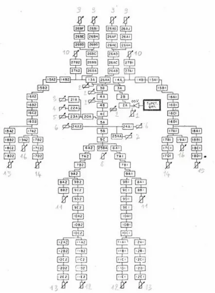Fig.  2.4  Schema  dell’albero  della  circolazione  sistemica  arteriosa  umana  di  Westerhof  et  al