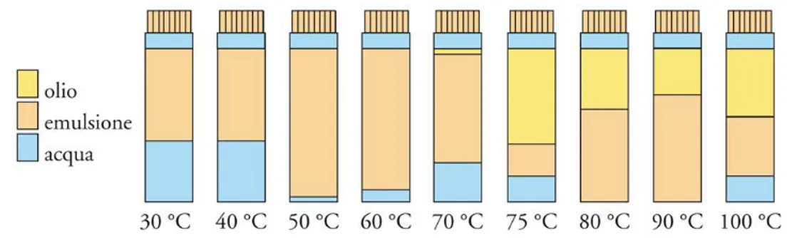 FIGURA 18: PIT DI UN'EMULSIONE OLIO/ACQUA 