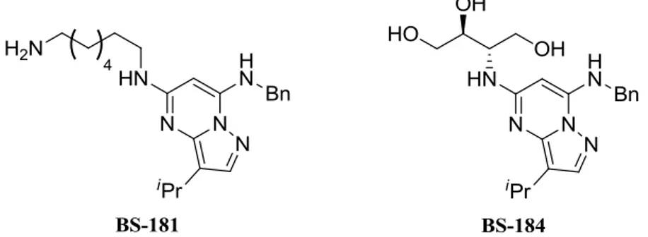Fig. 6. Increase of the bioavailability of BS-181  