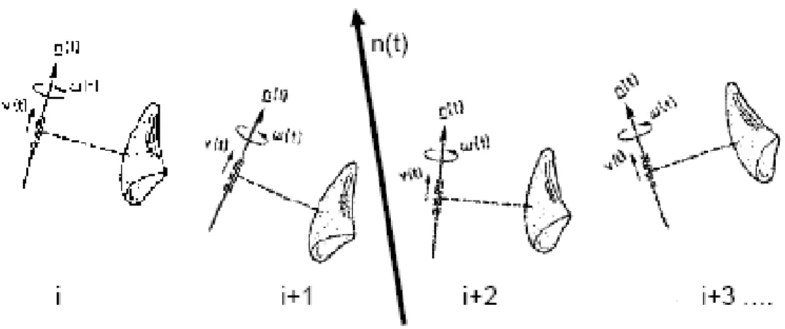 Fig. 2.15  Parametri descrittivi dell’asse elicoidale medio. 