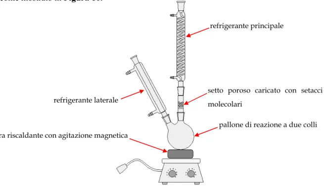 Figura 10- Rappresentazione schematica di una RDS &#34;implementata&#34;