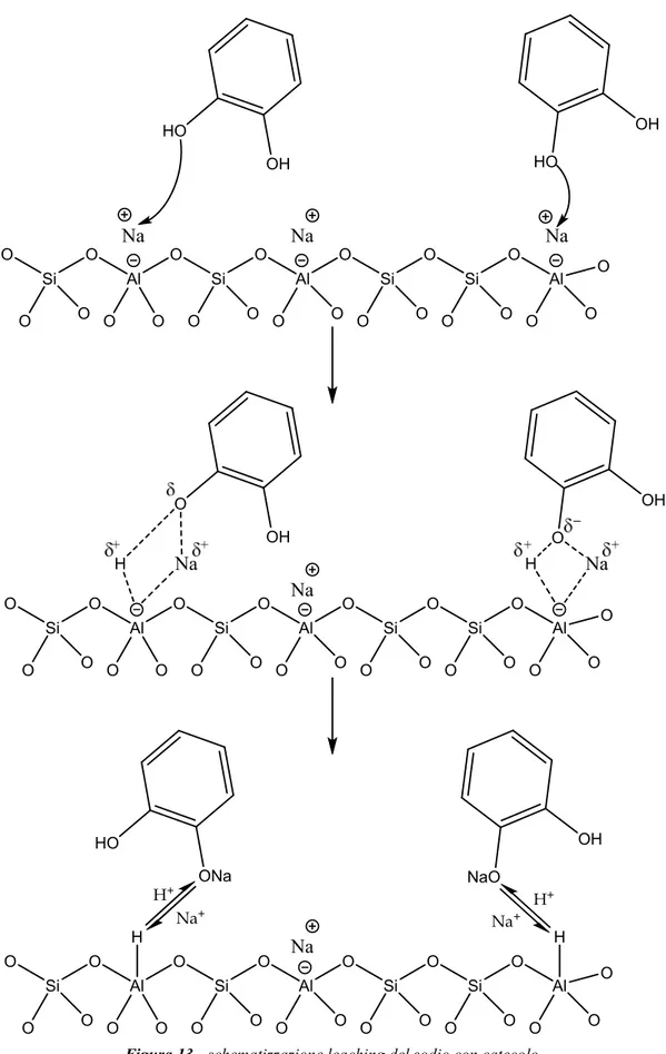 Figura 13 - schematizzazione leaching del sodio con catecolo.OSiOOOAlOSiOAlOSiOSiO AlOOOOOOOOOOO OONa OHHONaNaHOOHOSiOOOAlOSiOAlOSiOSiOAlOOOOOOOOOOOOO OHONaHOOHNaHOSiOOOAlOSiOAlOSiOSiOAlOOOOOOOOOOOOOOHNaOHOONaHHH+Na+Na+H+NaNa