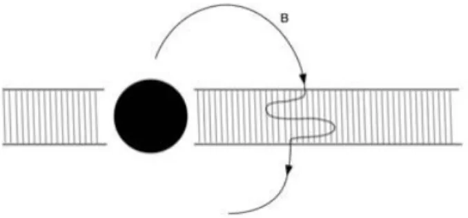 Figura 3.1: Instabilit` a magneto-rotazionale