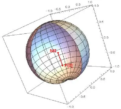 Figure 4.3: Open evolution of a generic initial state P (0) on the Bloch sphere