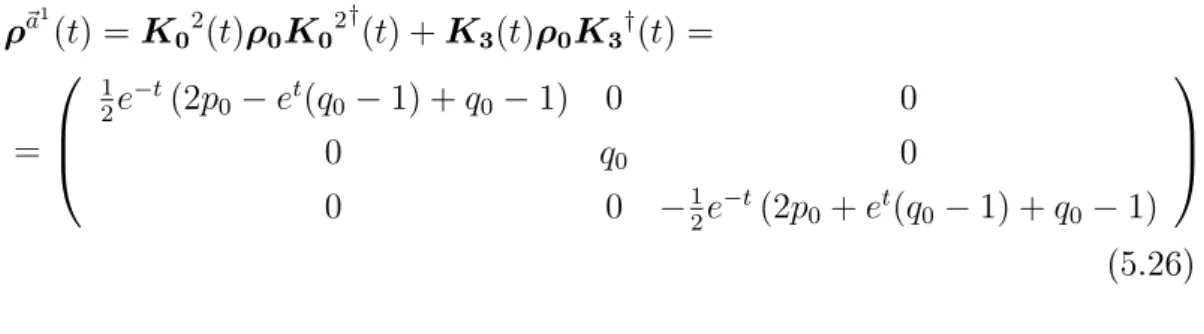 Figure 5.4: Open evolution using ~a 1 . The starting point P corresponds to the density matrix with eigenvalues: p 0 = 0.8 , q 0 = 0.15