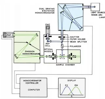 Figure 9 Scheme of a Spectrofluorometer.   A monochromator selects the wavelength of the  excitation light