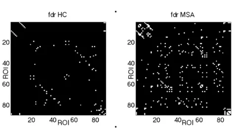 Figure 5.19: Matrices of HC and MSA, white cells represent regions with a significant correlation coeﬃcient after FDR