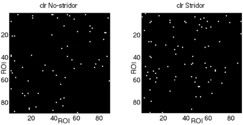 Figure 5.23: Matrices of No-stridor and Stridor groups, white cells represent regions with a significant CLR after FDR