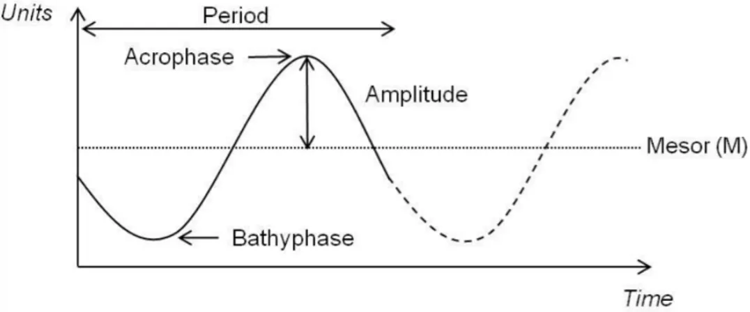 Figure 1.1. Diagram of an oscillatory proess characterized by its 4 parameters. 