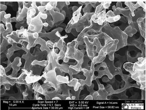 Figura 2.4: Ingrandimento al SEM della struttura della schiuma cresciuta su nanoparti- nanoparti-celle di Ni/NiO