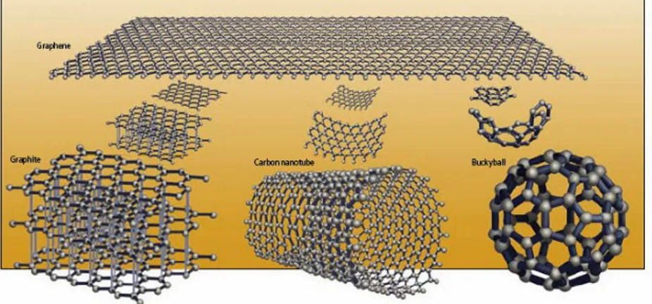 Figura 1.1: Alcuni allotropi del carbonio, la cui struttura può essere vista come una modicazione di quella bidimensionale del grafene.