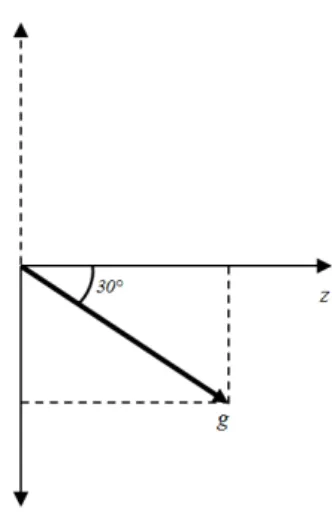 Figura 3.4. Scomposizione del vettore accelerazione di gravit` a