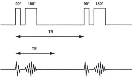 Figura 1.3: Sequenza di impulsi Spin-Echo con indicati T E e T R