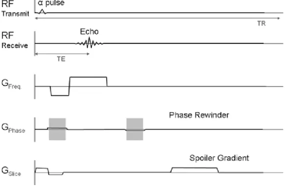 Figura 1.4: Impulsi RF e di gradiente nella sequanza fast spoiled gradient echo
