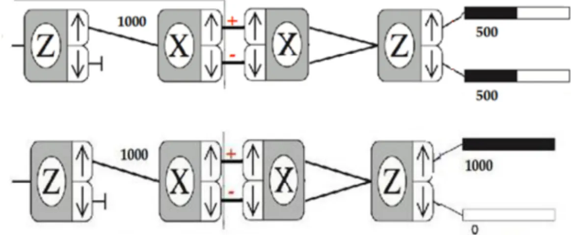 Figura  2.3.7    Quattro apparati  Stern  e  Gerlach  posti  in  successione.  In  alto  è riportata  la  previsione  classica, in basso l’esito dell’esperimento