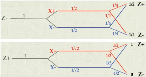 Figura 2.3.8 Calcolo classico, sopra, e calcolo quantistico, sotto, della probabilità per l’esito del quarto  apparato di Stern e Gerlach