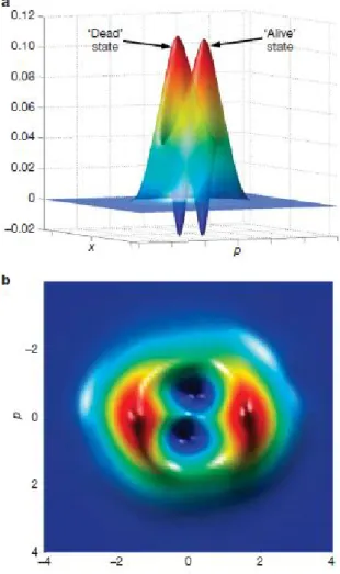 Figura 3.4: Ricostruzione dei risultati sperimentali relativi alla misurazione della distri- distri-buzione di Wigner di uno stato gatto di Schr¨ odinger prodotta a partire da due fotoni in una visione laterale (a) e dall’alto (b) (Alexei Ourjoumtsev, Hyun