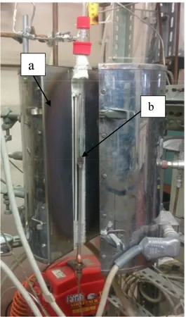 Figura  13:  Immagine  del  reattore  di  laboratorio.  (a)  forno,  (b)  reattore  in  quarzo  inserito  all’interno  dell’incamiciatura del forno 
