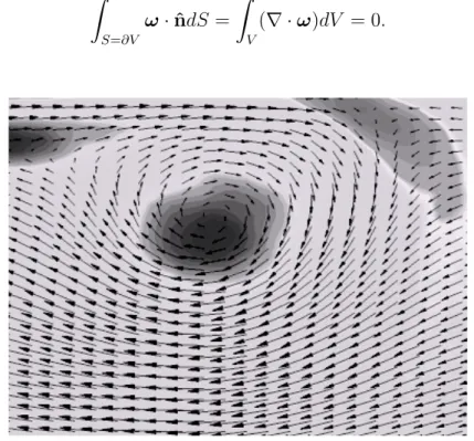 Figura 1.3: Linee di flusso per un fluido incomprimibile. La divergenza del campo delle velocit` a ` e nulla e il flusso di tale campo attraverso ogni superficie ` e zero