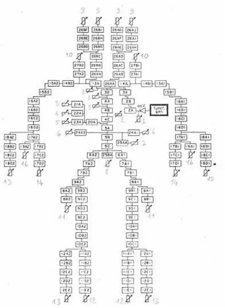 Fig.  2.2    Schema  dell’albero  della  circolazione  sistemica  arteriosa  umana  di  Westerhof  et  al