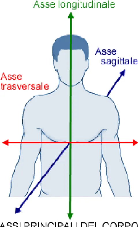 Figura 4: assi anatomici. 