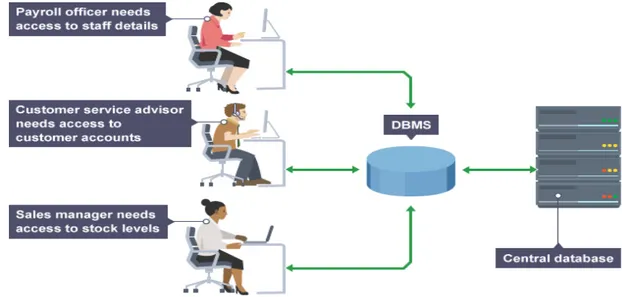 Figura	2.	4	esempio	di	gestione	di	interazioni	fra	utenti	e	database	all’interno	dell’azienda	mediante	il	DBMS.	