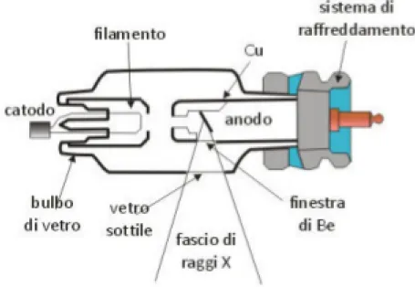 Figura 5 - Rappresentazione schematica di un tubo radiogeno
