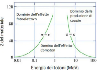 Figura 9 - Domini di dominanza degli effetti fotoelettrico, Compton e della produzione di coppie nell’ interazione dei fotoni con la materia