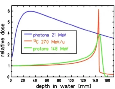 Figura 13 - Curva di Bragg in acqua per fotoni da 121 MeV e ioni carbonio. La maggior parte dell’energia cinetica del fascio viene rilasciata, come si evince dalla Figura 13, dove a scopo di confronto ` e riportata anche la curva della dose in funzione del