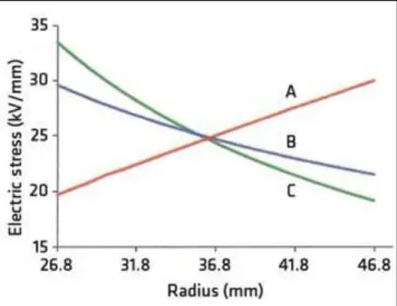 Figura 2.3 - Distribuzione del campo elettrico all’interno dell’isolante in regime DC [8] 