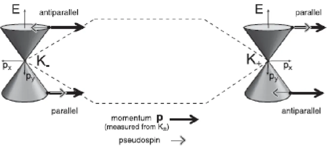 Figure 4: Inequivalent Dirac cones respectively at K + and K − points in the Brillouin zone, together with direction of the pseudospin parallel or anti-parallel to the momentum p of selected energies in  conduc-tion and valence bands.