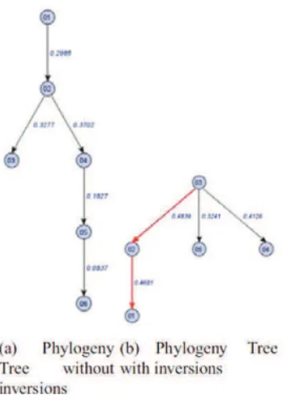 Figura  10  –  Albero  filogenetico.  Ogni  nodo  rappresenta  un  codice  sorgente  e  gli  archi  denotano le distanza della direzione e dell’evoluzione 