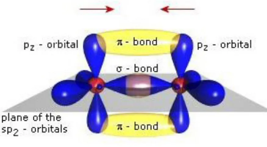 Figure 1.2: The different σ and π bonds of the carbon atom.